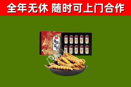 万源市回收冬虫夏草价格